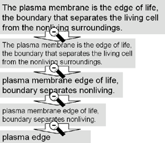 text segment being scaled